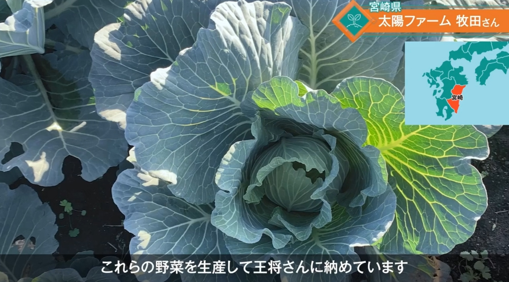 太陽ファームさん