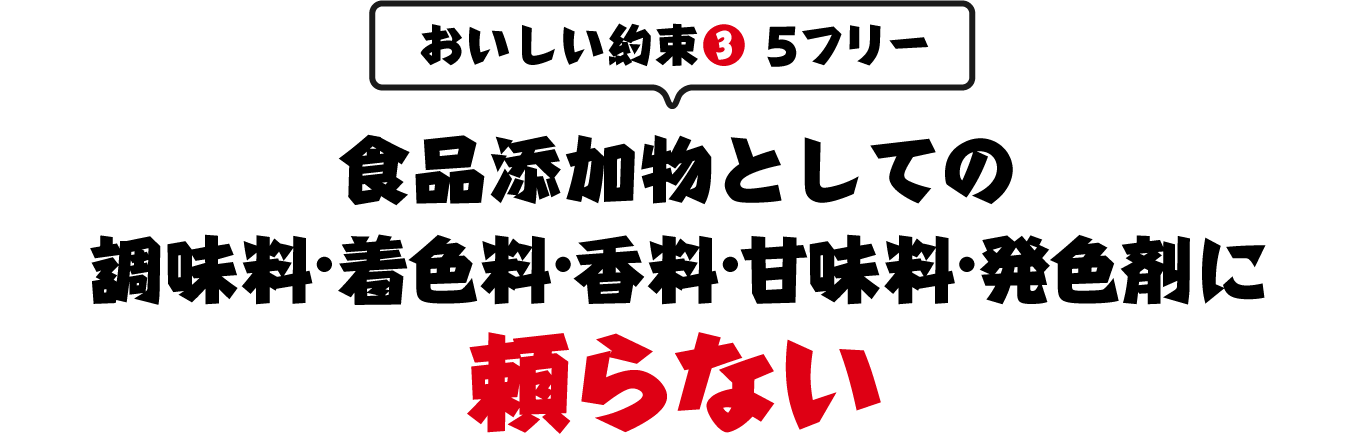 おいしい約束③　5フリー　調味料・着色料・香料・甘味料・発色剤に頼らない